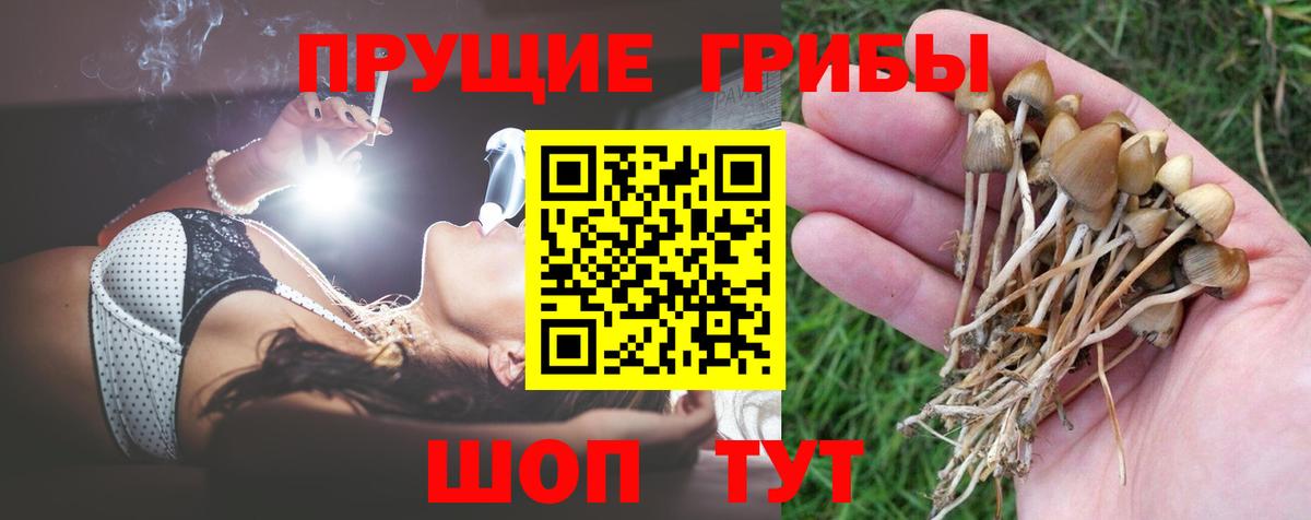 Галлюциногенные грибы мицелий Барнаул
